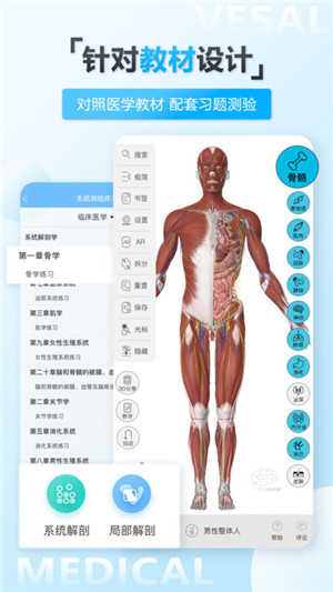 维萨里3D解剖截图2