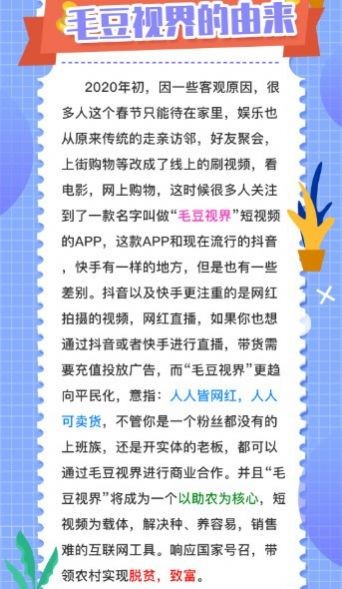 毛豆视频