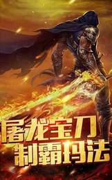 龙战传奇三职业