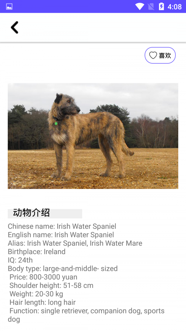 狗狗图鉴