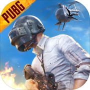 绝地pubg中文版