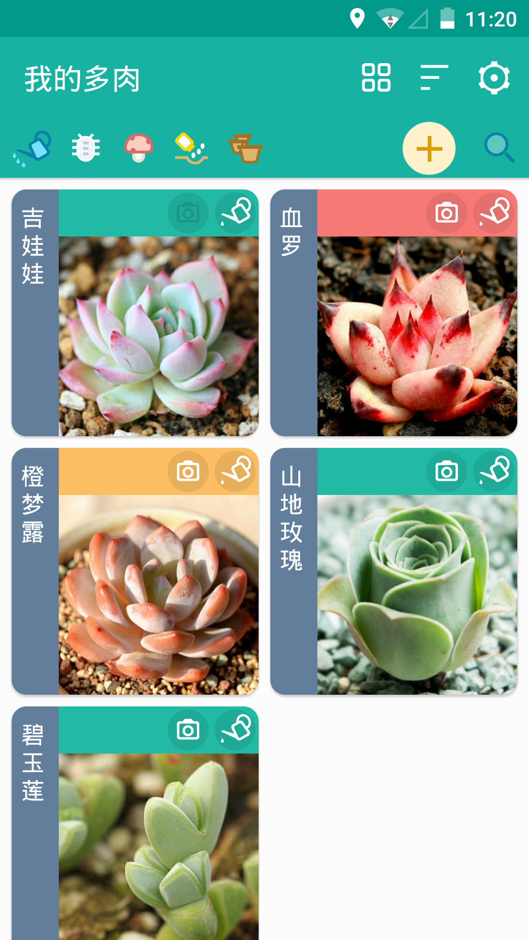 多肉成长记app截图3