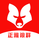 正雅狼群