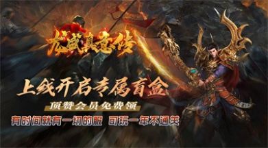 龙盛真意传