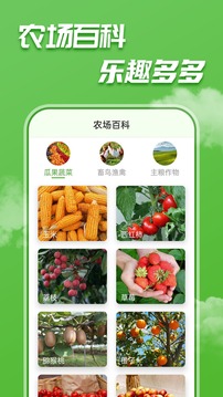农场乐多多赚钱版