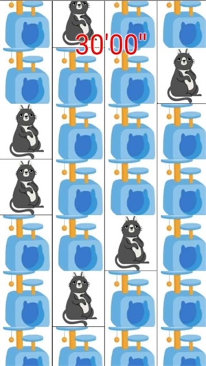 打猫猫