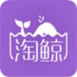 淘鲸
