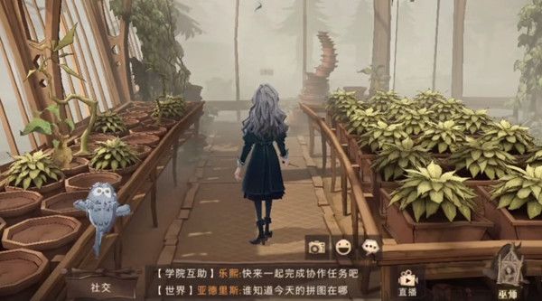 哈利波特魔法觉醒成熟的米布米宝拼图碎片在什么地方？