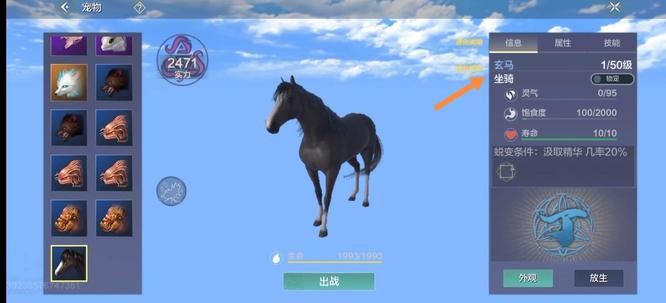 妄想山海玄马在哪里抓？