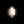 Egg.png
