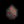 Void Egg.png