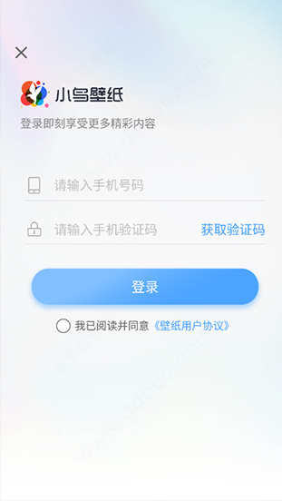 小鸟壁纸