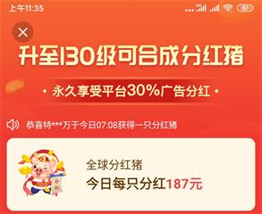 《阳光养猪场》怎么获得分红猪 快速获得分红猪攻略
