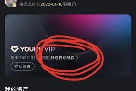 如何关闭优酷自动续费vip