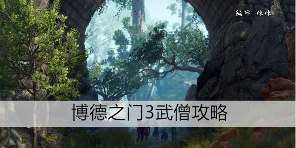 博德之门3武僧攻略