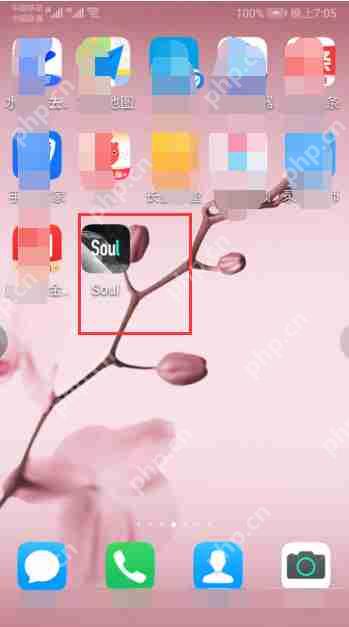 soul隐身状态怎么设置