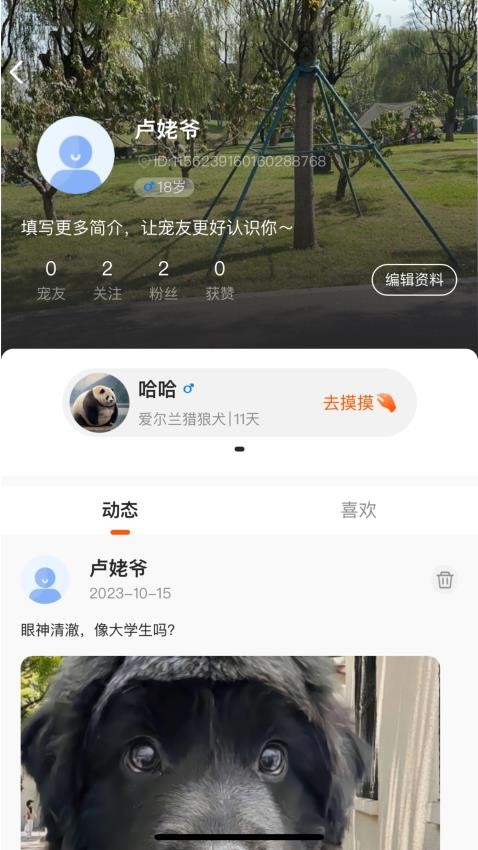 哆伽宠截图1