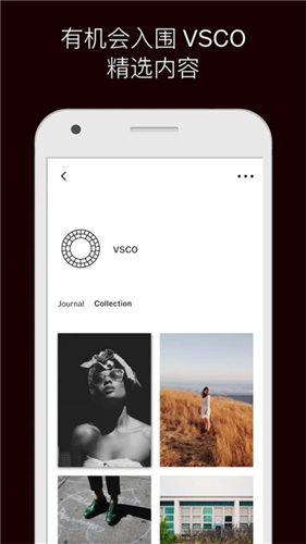 VSCO41截图2